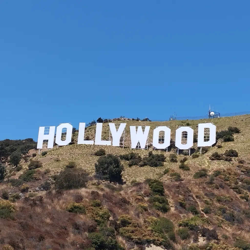 Moritz - Community Moderator