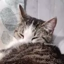 Nym1 - Community Moderator